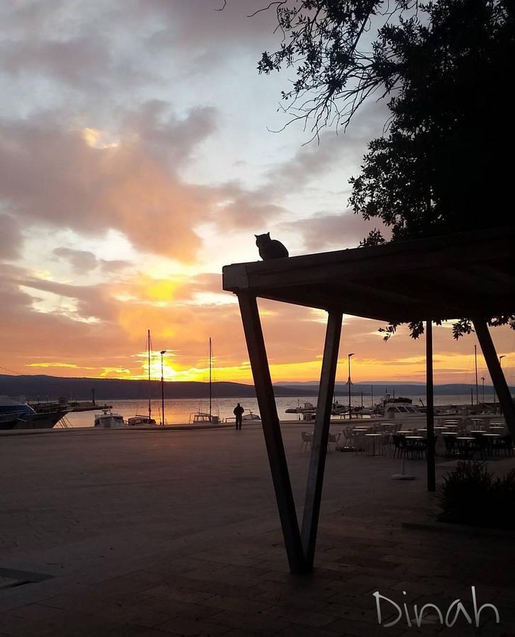 Car Apartments Crikvenica Dış mekan fotoğraf